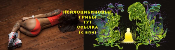трава Алексин