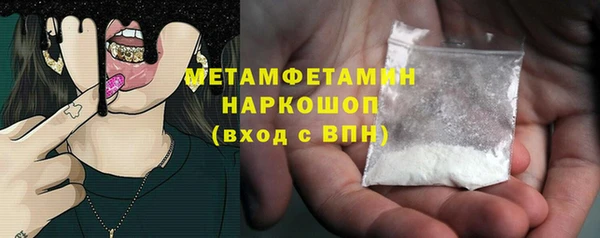 гидра Нестеровская