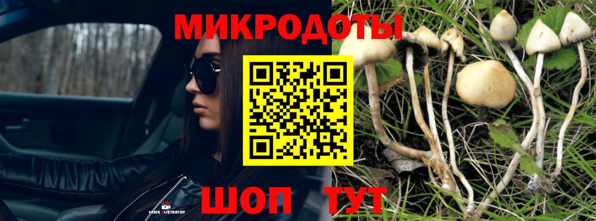 Галлюциногенные грибы MAGIC MUSHROOMS Киров